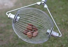 Nut Wizard Nut Gatherer