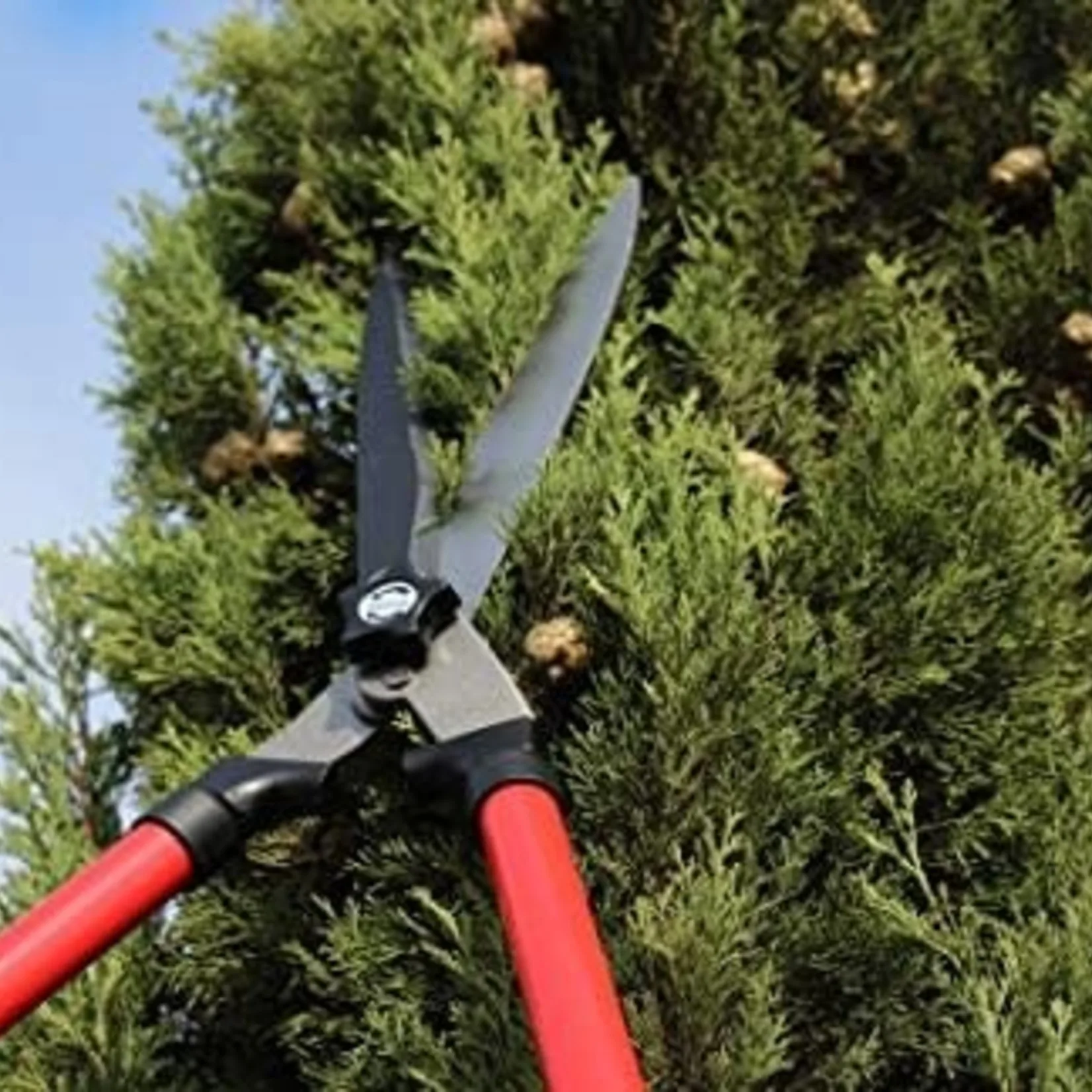TABOR TOOLS Telescopic Hedge Shears